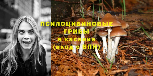 героин Алзамай
