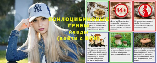 ПСИЛОЦИБИНОВЫЕ ГРИБЫ Алексин