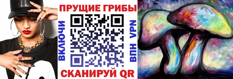 Галлюциногенные грибы прущие грибы  блэк спрут вход  Аркадак 